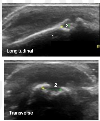 <p>What is this?</p>