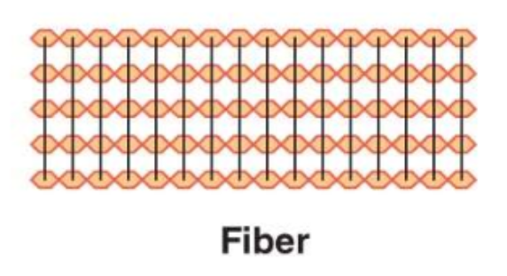 <ul><li><p>dietary fiber is the nondigestable food component of plants</p></li><li><p>most fiber is in the form of cellulose (structural)</p><ul><li><p>straight chains of glucose units compacted in layers</p></li><li><p>beta-glycosidic bonds that humans lack enzymes to digest </p></li></ul></li><li><p>oatmeal have fiber that sequester and excrete cholesterol</p></li></ul><p></p>