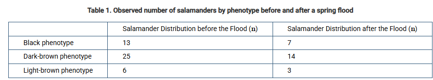 <p><span>Students observed the distribution of different color phenotypes in northern ravine salamanders (Plethodon electromorphus) before and after a spring flood. The data are shown in Table 1.</span>Which of the following is an appropriate null hypothesis regarding the phenotypic frequencies of this population of salamanders before and after the flood?</p><p><strong>A) </strong>More black salamanders survived because they could better hide from predators on the dark muddy soil, so the frequency of the black phenotype significantly increased in the population after the flood.</p><p><strong>B) </strong>Fewer light-brown salamanders survived because they had a reduced chance of finding mates due to the high water levels, so the frequency of the light-brown phenotype in the population decreased after the flood.</p><p><strong>C) </strong>More dark-brown salamanders migrated to a new, drier area because of the flood and fewer of them remained in the original habitat, so the frequency of dark-brown salamander significantly decreased in the population after the flood.</p><p><strong>D) T</strong>he proportions of black, dark-brown, and light-brown salamanders before and after the flood are not significantly different, and any observed differences are due to random chance.</p>