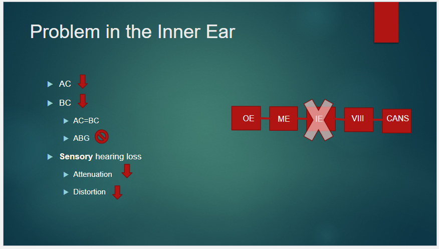 <p>AC Down, BC Down</p><p>AC = BC</p><p>NO ABG</p><p><u>Sensory</u><strong> </strong>hearing loss</p>