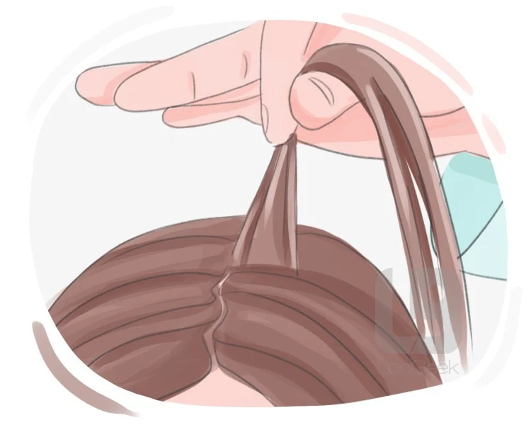 <p>A bunch or collection of threads, grass, hair, etc., held or growing together at the base.</p>