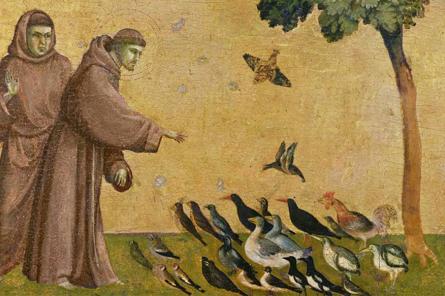 <p>św. Franciszek z Asyżu</p>