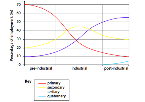 <ul><li><p><strong>The pre-industrial phase</strong>– the primary sector leads the economy and may employ more than two-thirds of the working population. Agriculture is the most important activity.</p></li><li><p><strong>The industrial phase</strong>– the secondary and tertiary sectors increase in importance. The primary sector declines, as industrialization (machinery in farms grows)</p></li><li><p><strong>The post-industrial phase</strong>– As the tertiary sector becomes the most important sector, the secondary sector declines and the primary sector employs a small percentage of the active population.</p></li></ul><p></p>