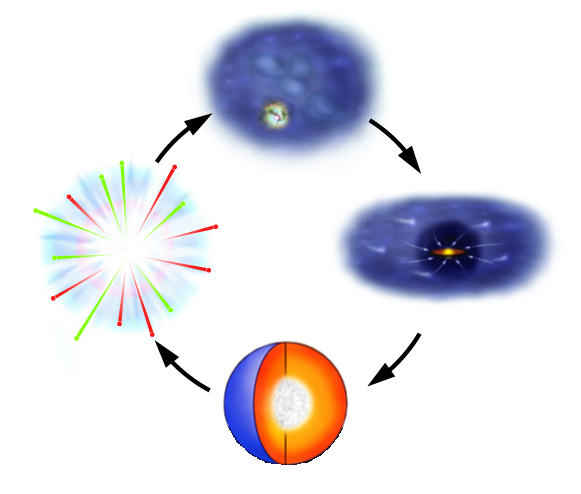 <p>The images depict the stellar “recycling” that takes place as the death of stars provide materials for the birth of new ones<br><br>label the stages starting from the top and follow the arrows</p>