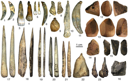 <p><span>Long thin blades made of bone/ivory that could be used as needles from 45kya</span></p>