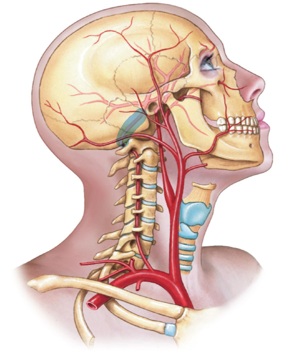 <p>diagrams </p>