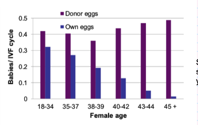 <ul><li><p>Using <strong>donor eggs from younger women</strong>:</p><ul><li><p>IVF success rates remain <strong>high across ages</strong></p></li></ul></li><li><p>Shows fertility decline is due to <strong>egg quality, not maternal environment</strong></p></li><li><p><strong>Your notes:</strong></p><ul><li><p>Success rate stays high with donor eggs</p></li><li><p>Confirms age-related infertility = egg problem</p></li></ul></li></ul><p></p>