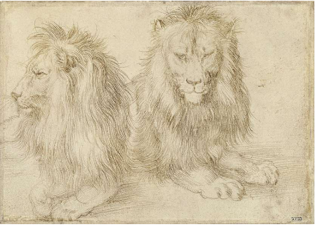 <p>Albrecht Dürer, <em>Deux lions assis, </em>1521, Berlin</p>