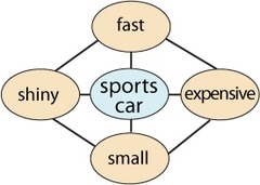 <p>mental framework that organizes and interprets information.</p>