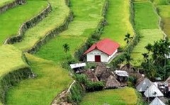 <p>the task of defining and describing landscapes</p>
