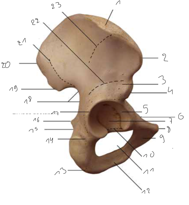 <p>7</p>