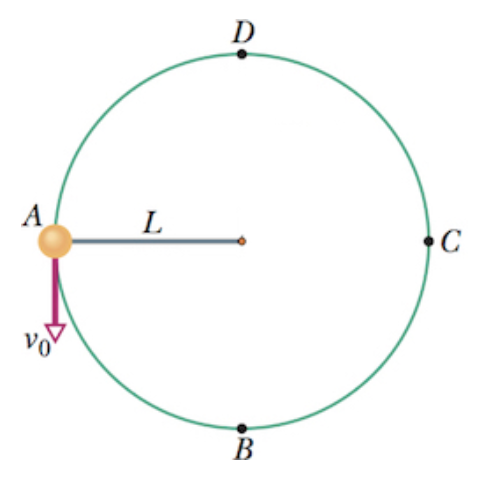 <p>A)FIND TENSION IN THE STRING WHEN THE OBJECT IS IN POSITION D</p><p>B)*IF GIVEN INITIAL SPEED</p>
