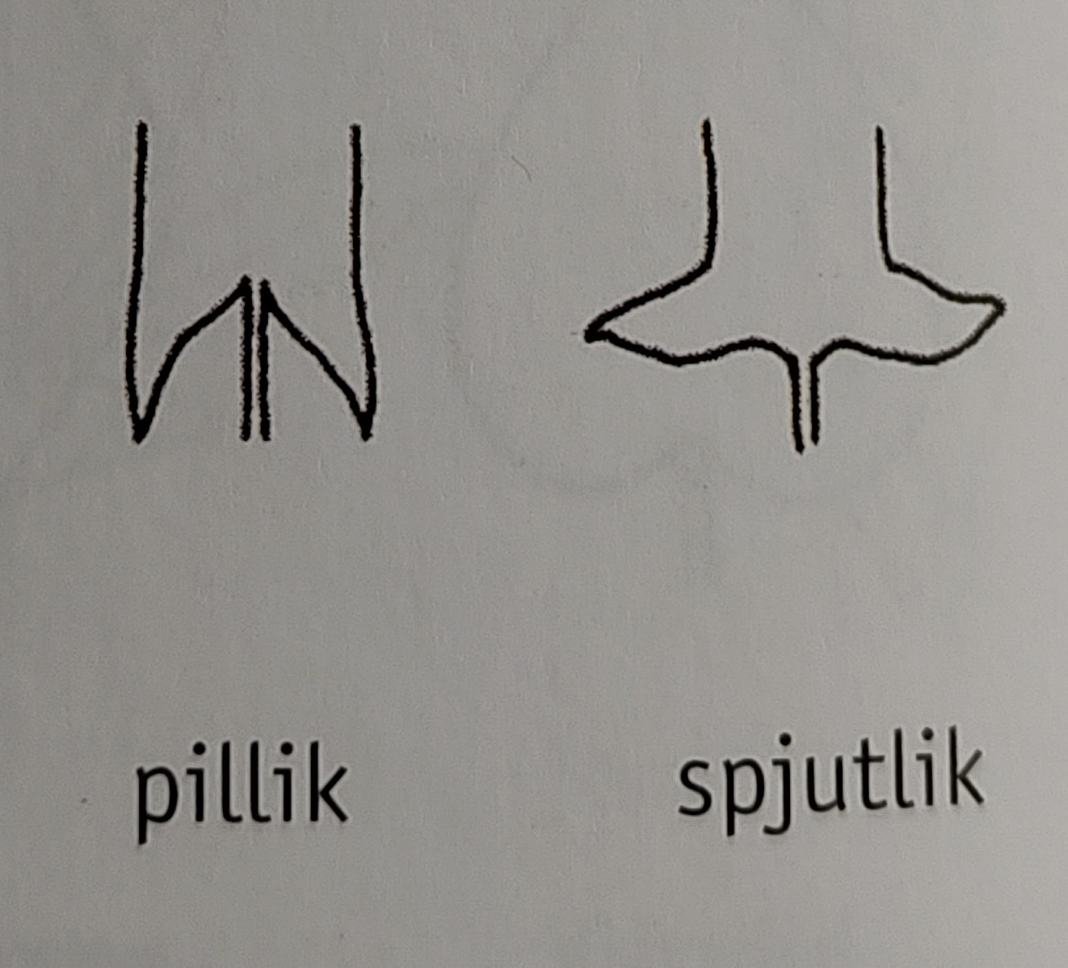 <p></p>