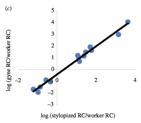 <p>What does this figure show (wasp paper)</p>