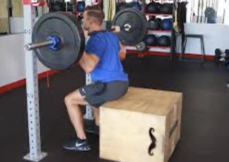 <p>Box squat target muscle</p>