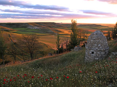<p>by land</p>