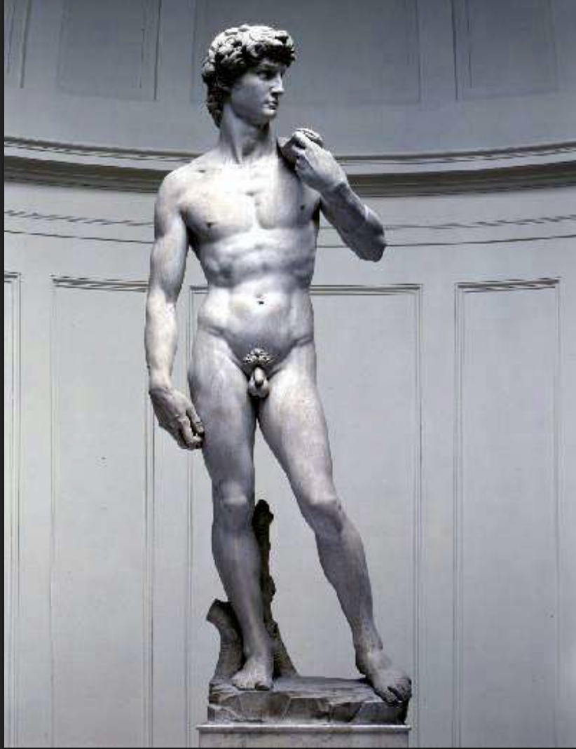 <p>David </p>