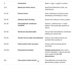 <p>Way too in depth broken apart cow pregnancy timeline when everything happens and how it looks because I could not understand the concept of cows being inside placenta not next to them ....</p>