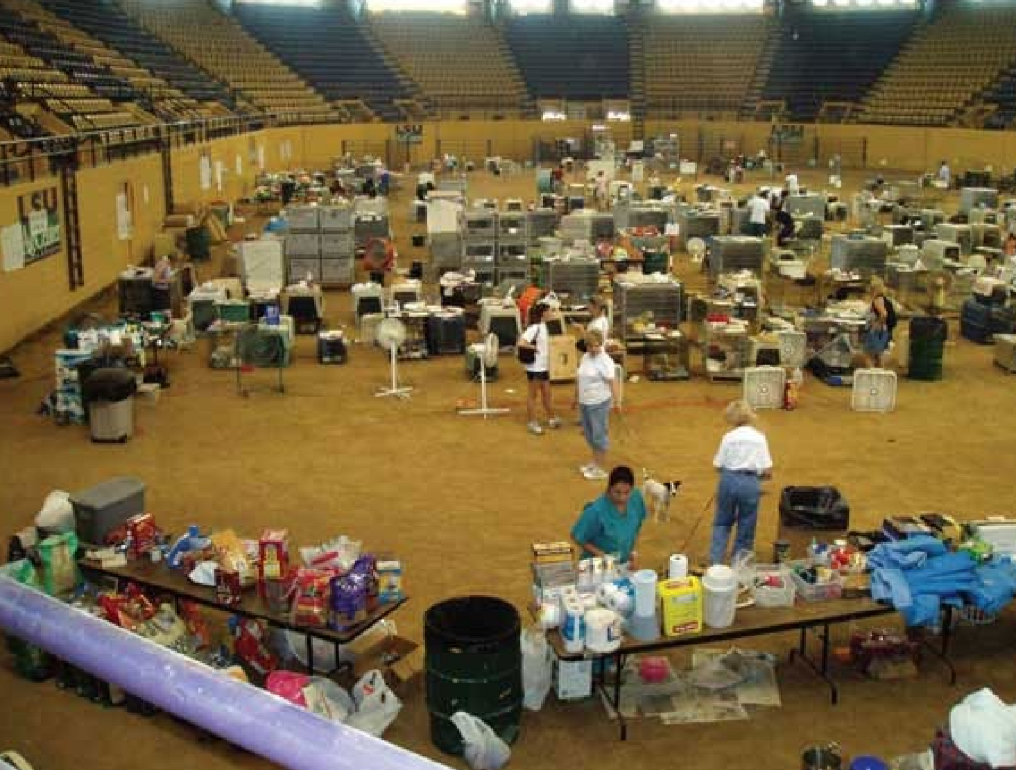 <p>needs: kennel/run to keep ani in, shelter from the elements, food, water &amp; bowels, cleaning supplies, a way to ID each ani (e.g. kennel card), area to safely walk dogs</p><p>.</p><p>wants: vets, meds, group &amp; individual housing, enrichment, outside access for walks, behavior team, bathrooms wifi &amp; AC/heat for humans</p>