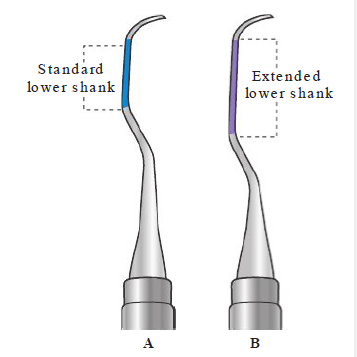<p><strong>Standard lower shank</strong></p><ul><li><p>Normal length</p></li></ul><p><strong>Extended lower shank</strong></p><ul><li><p>3 mm or longer</p></li></ul><p></p><p>Used for:</p><ul><li><p>Deep periodontal pockets </p></li><li><p>Reaching below gingival</p></li></ul><p></p>