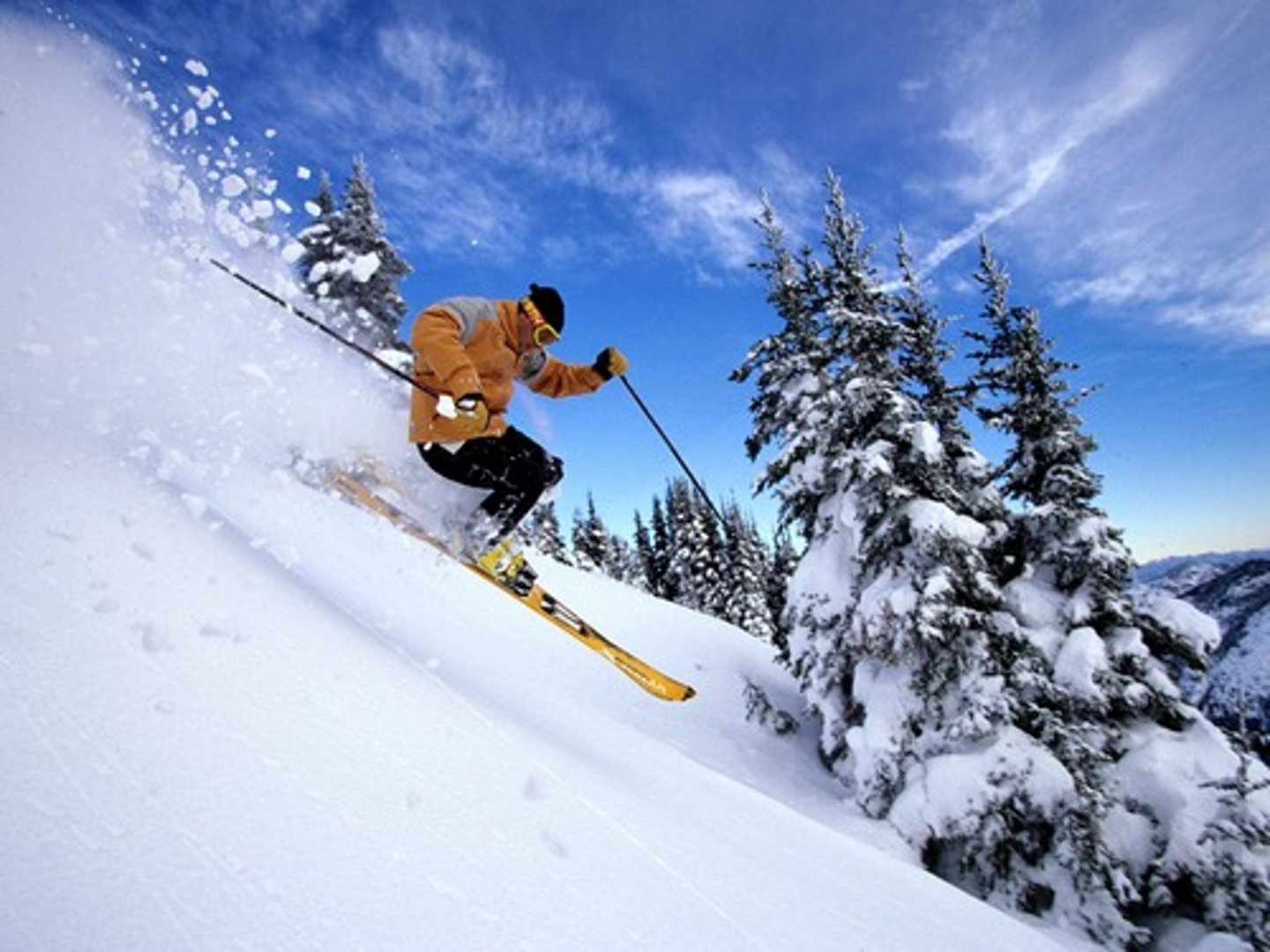 <p>le ski alpin</p>