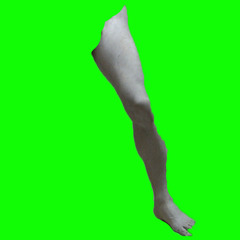 <p>leg</p>