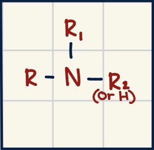 <p>What type of <strong>FUNCTIONAL GROUP </strong>is this image?</p>