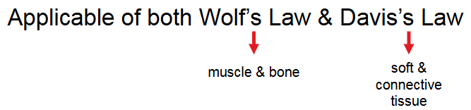<p>less than desired progression, no adaptation and a training plateau</p><ul><li><p>If no overload is applied then eventual loss of conditioning will occur as it often does throughout life as many become less active</p></li></ul><p></p>