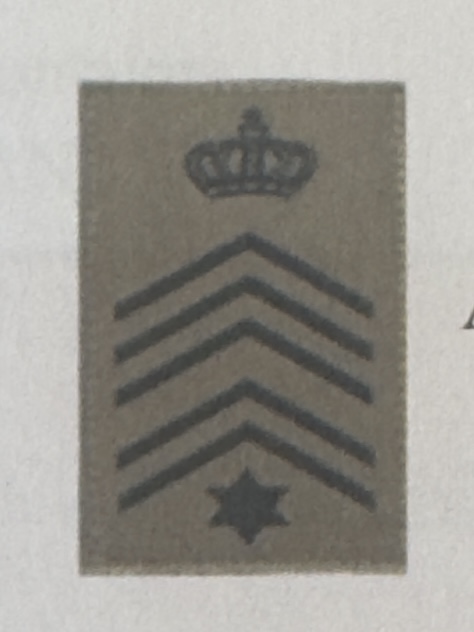 <p>Grade de fonction </p>