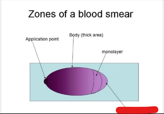 <p>what is it</p>