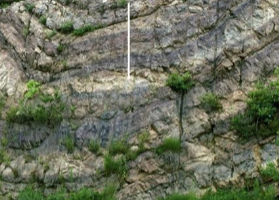 <p>Is the image showing an Anticline or Syncline?</p>