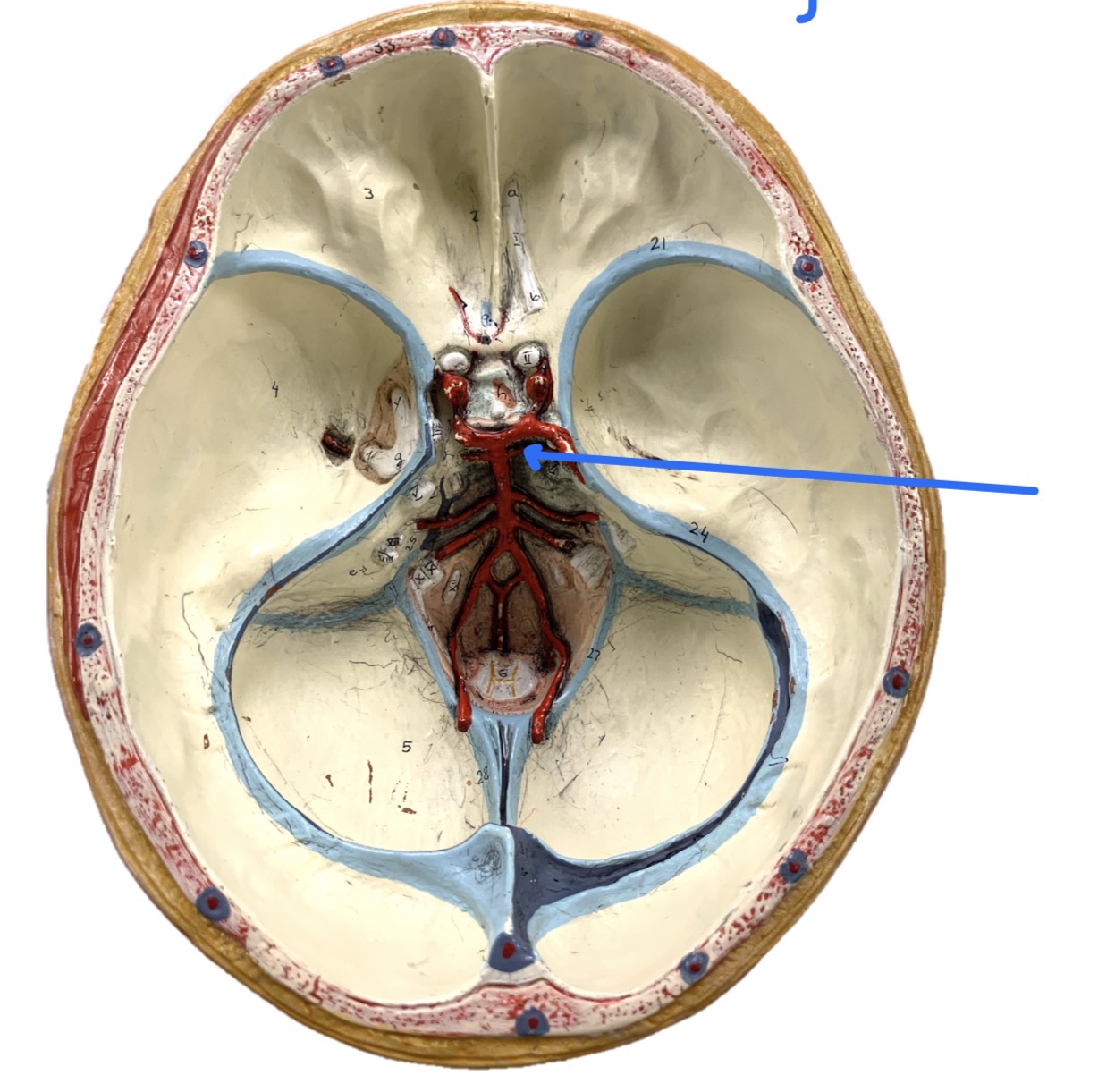 knowt flashcard image