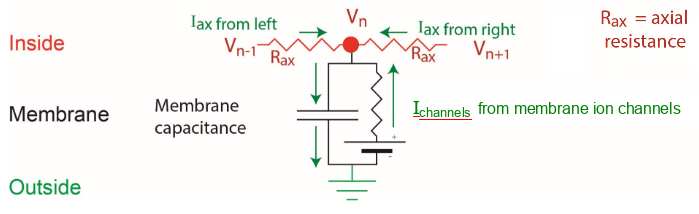 <p>Iax (from both compartment a &amp; b) = g ax(Va - Vb) where g ax = 1/ Rax</p><p></p><p>for each compartment: I tot = I ax(left) + I ax(right) + I channels</p><p>(total inward current, flowing onto inside surface of mb capacitance = axial current flowing in + mb ion channel current flowing in)</p>