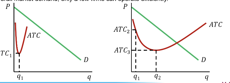 <ul><li><p>If the minimum efficient scale occurs at a level of output that is small relative to overall market demand, there will be room in the market for many firms to operate efficiently, so the market will be competitive</p></li><li><p>However, if the minimum efficient scale occurs at a level of output that is large relative to overall market demand, only a few firms can operate efficiently</p></li></ul><p></p>