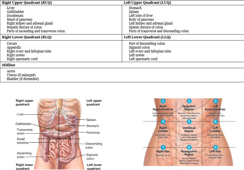 knowt flashcard image