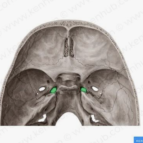 <p>What are these?</p>