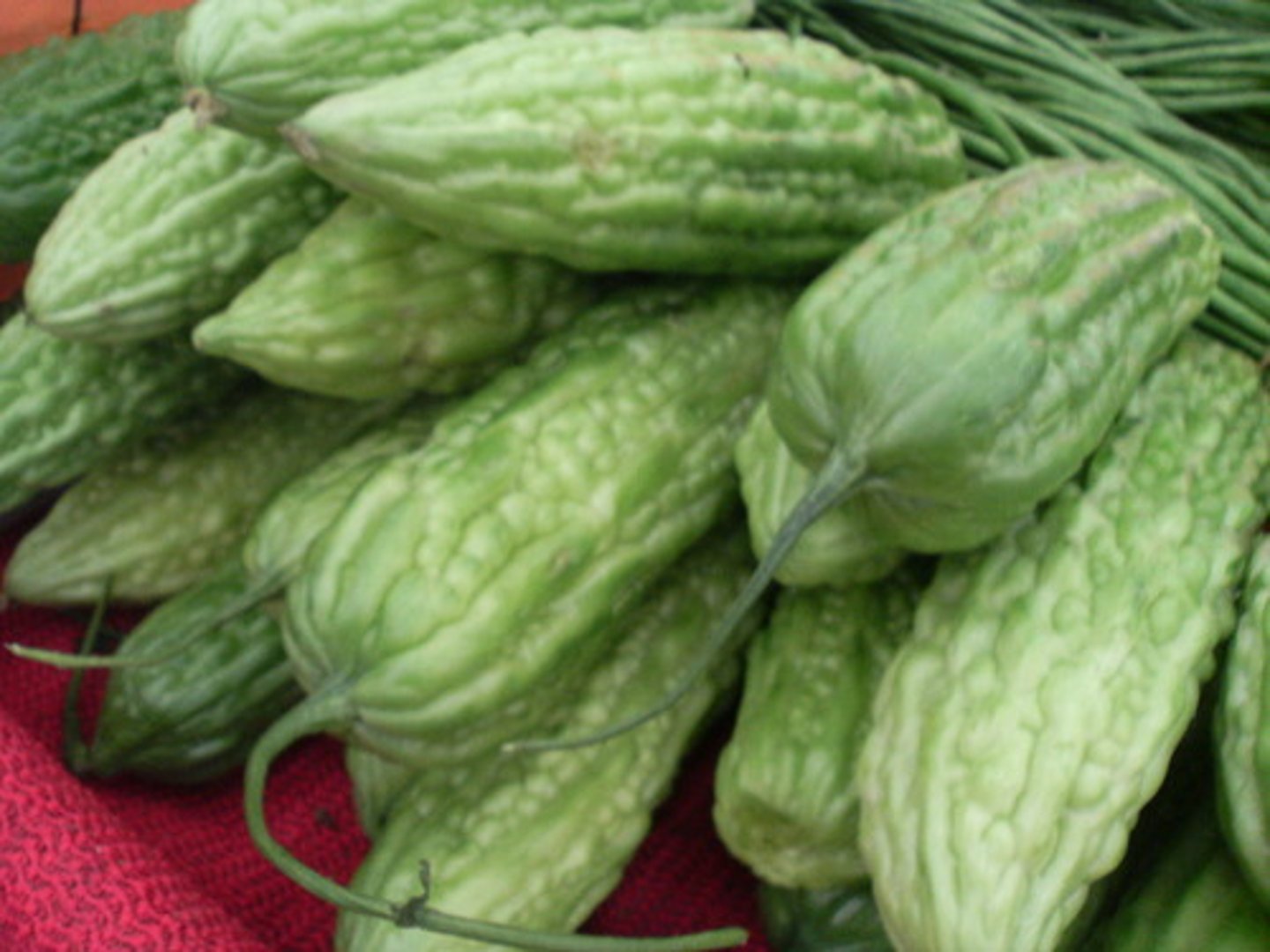 <p>đắng</p>