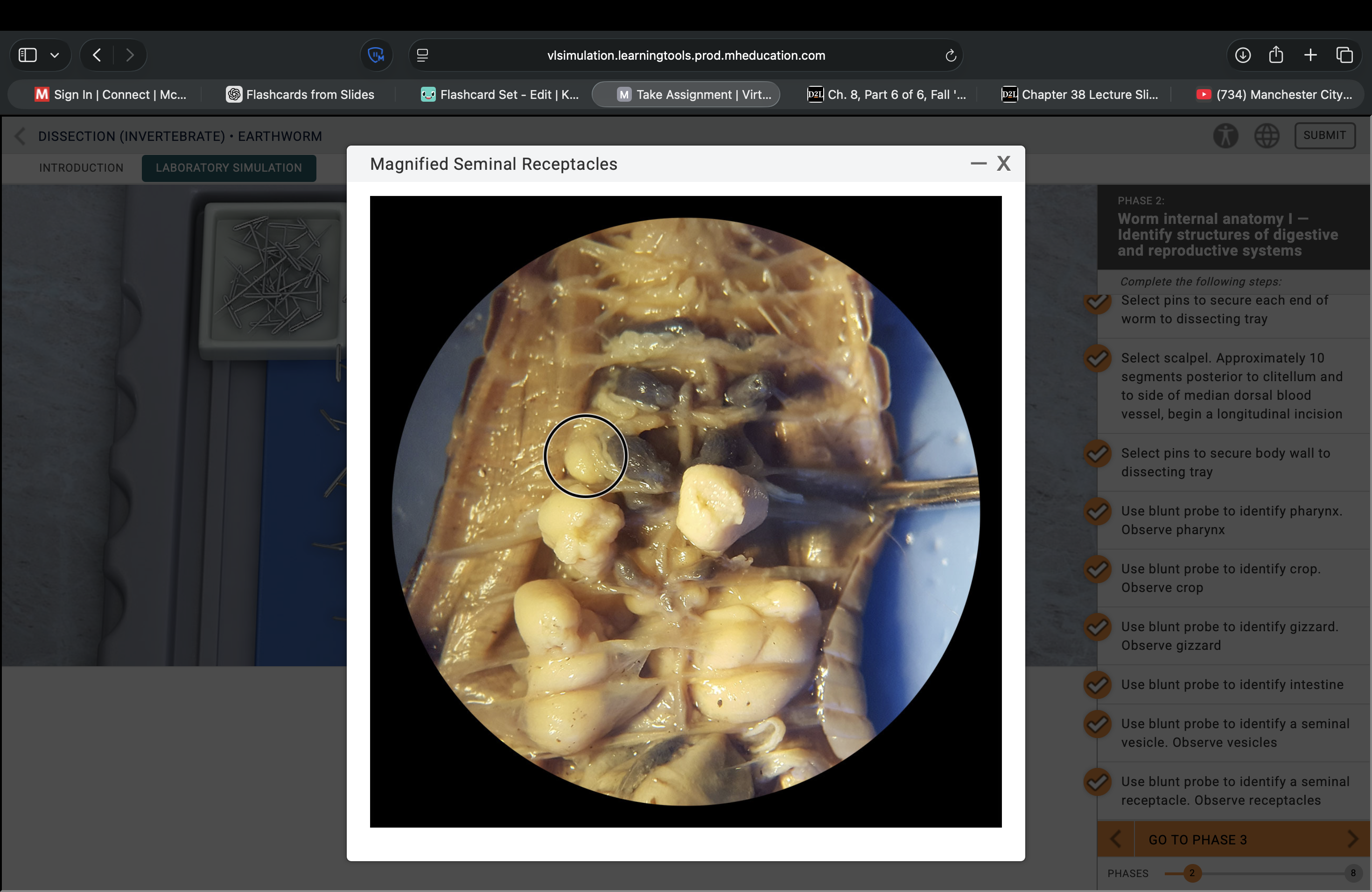 <p>What structure is this pointing to?</p>