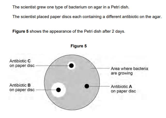 <p>2024: A student said: The bacterium is resistant to antibiotic C</p><p></p><p>Explain how the results show the student is not correct (2)</p>