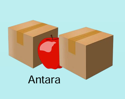<p>Di antara</p>