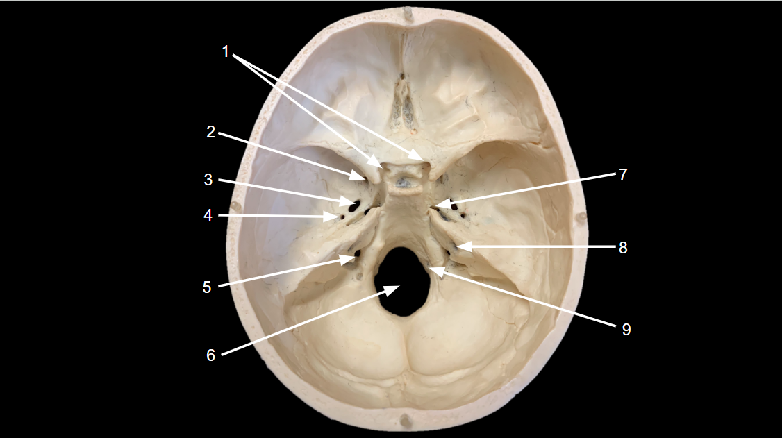 <p>WHAT IS 8 CALLED?</p>