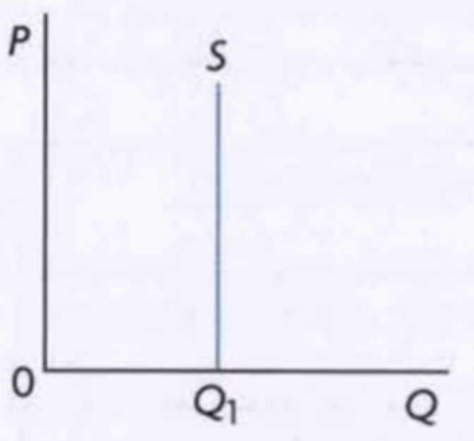 <p><span style="background-color: transparent; font-family: "Times New Roman", serif;">% change in quantity supplied is 0, so no matter the % change in price, the numerator is 0 and the PES will be 0.&nbsp;</span></p><p><span style="background-color: transparent; font-family: "Times New Roman", serif;">When the value of PES is equal to 0, supply is said to be <em>perfectly inelastic</em></span></p><p></p>