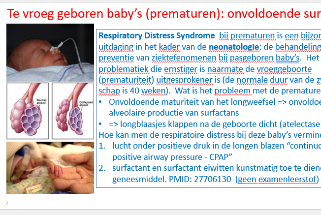 <ul><li><p>lucht onder positieve druk in longen blazen → CPAP continuous positive airway pressure</p></li><li><p>surfactans en surfactans eiwitten kunstmatig toedienen als geneesmiddel</p></li></ul><p></p>