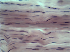 <p>What does this image show?</p>