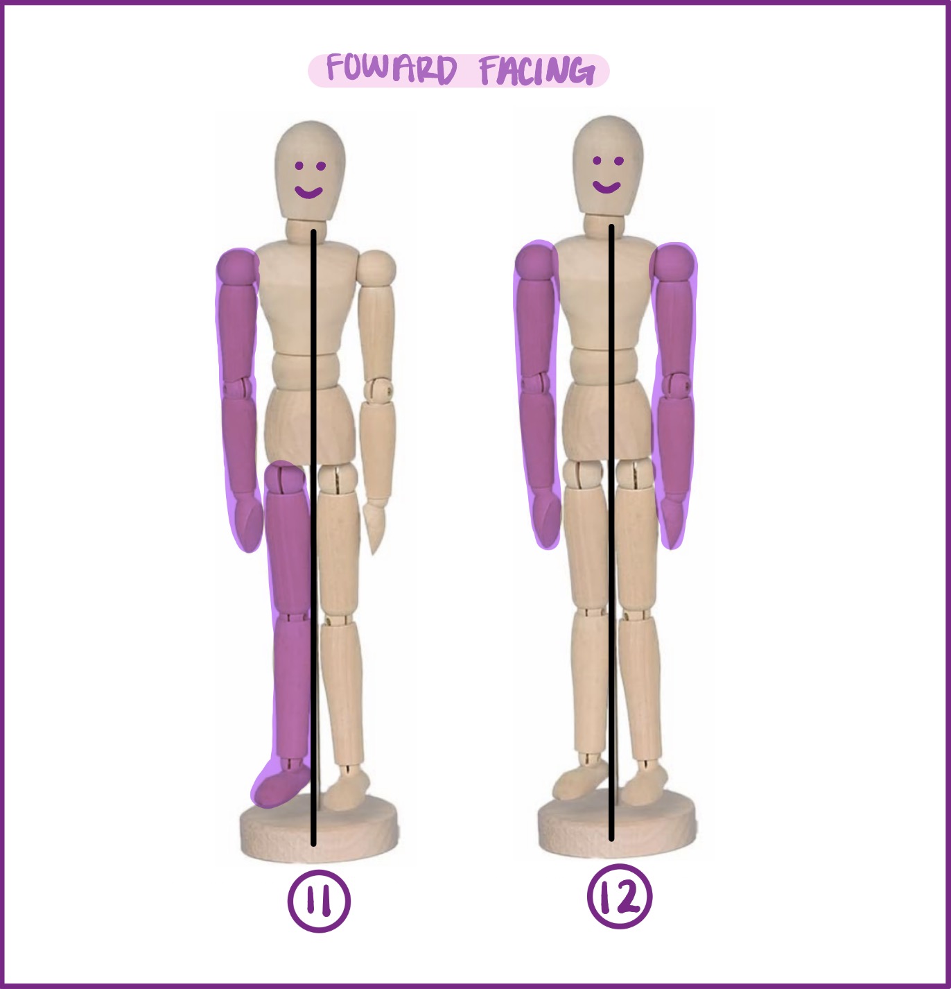 <p>#12 shows what anatomical direction?</p>