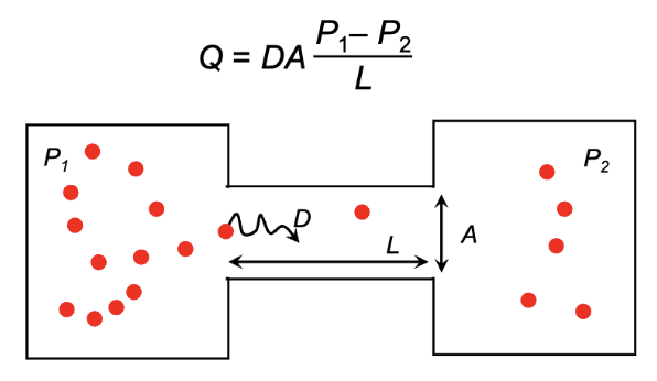 <p>Q: rate of diffusion</p><p>D: diffusion coefficient (how easily molecule moves) </p><p>A: surface area of membrane</p><p>P1, P2: difference in partial pressure OR concentration</p><p>L: path length between locations / thickness of membrane </p>
