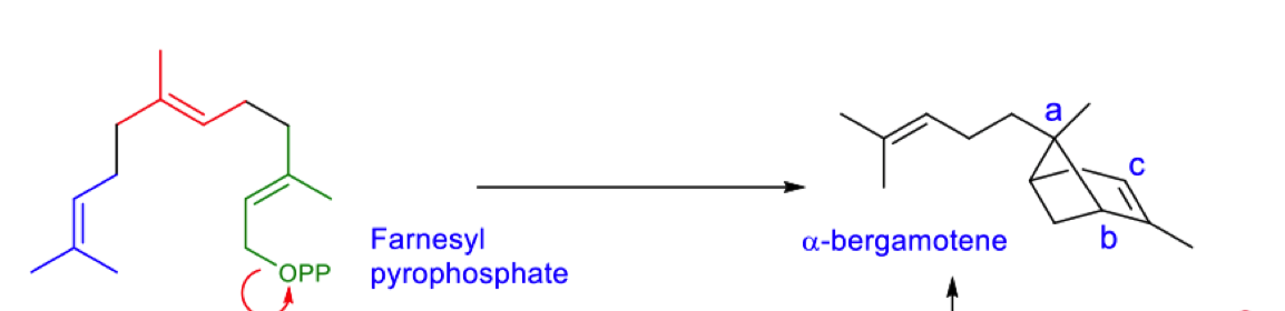 <p>describe the rearrangements this undergoes to form the product</p>