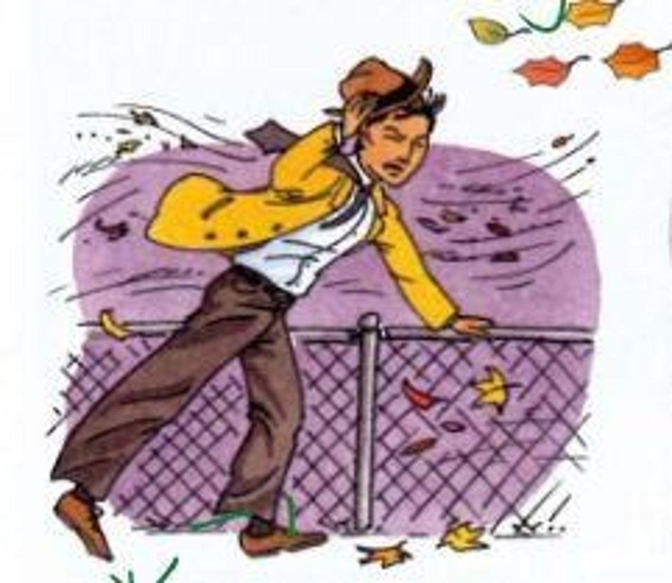 <p>It's windy, it is going to be windy</p>