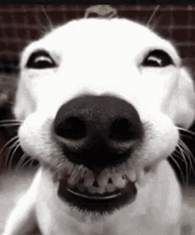 <p>:)))))) you got that girls </p>