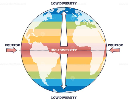 <p>Species Distribution</p>